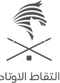لجان فنية